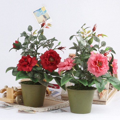 bay vat pham phong thuy dung cach