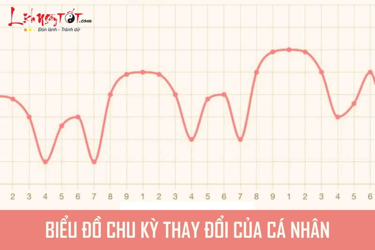 Bieu do chu ky 9 nam