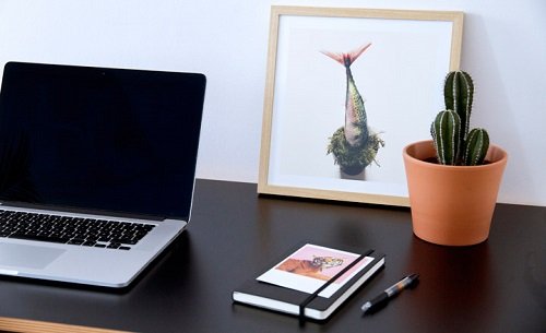 Phong thuy ban lam viec, cho dai ma dat cay xuong rong nhieu gai nhon