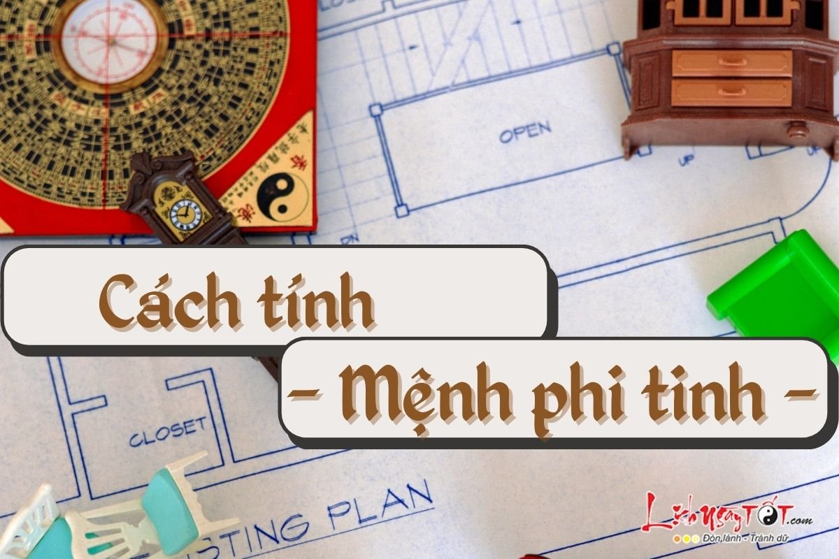 Cach tinh menh phi tinh