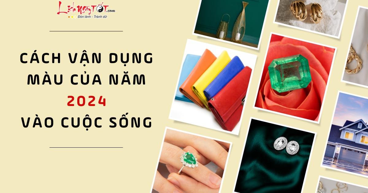 Cach van dung mau cua nam 2024 vao cuoc song