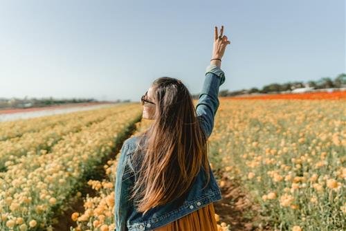 Cam giac an toan 12 con giap