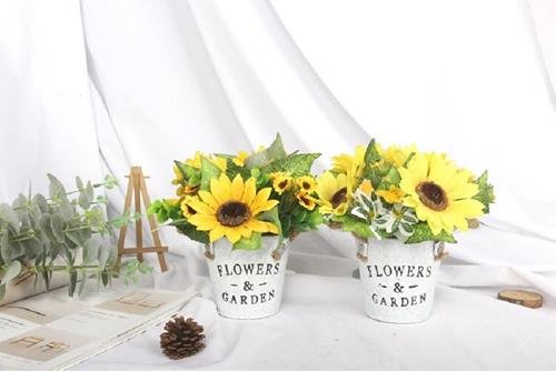 Cay canh de ban cho 12 con giap