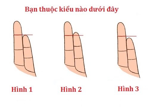Chiều dài ngón tay út cho biết cá tính và tình yêu hình ảnh Chieu dai ngon tay ut cho biet ca tinh va tinh yeu hinh anh