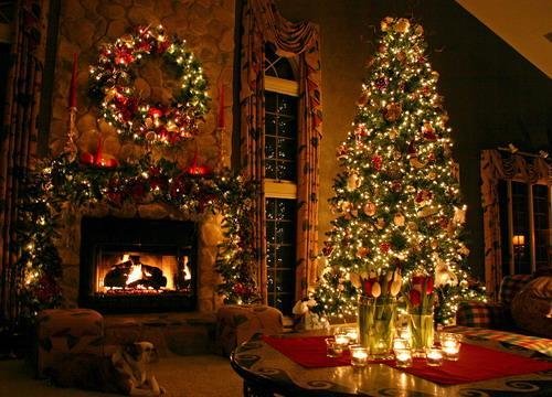 chon vi tri dat cay thong