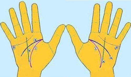 Coi duong chi tay cua nguoi kho thanh dat hinh anh