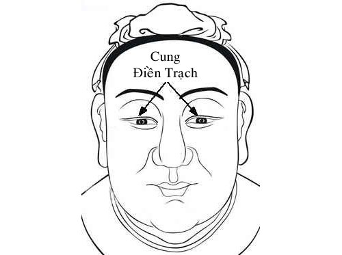 Cung Điền Trạch trong 12 cung tướng mặt hình ảnh Cung Dien Trach trong 12 cung tuong mat hinh anh
