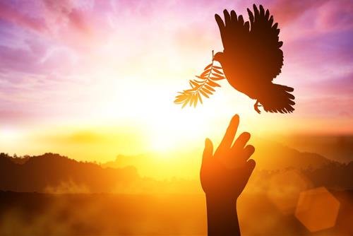 cung hoang dao lanh lung 2 cung hoang dao lanh lung 2