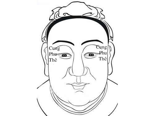 Cung Phu Thê trong 12 cung tướng mặt hình ảnh Cung Phu The trong 12 cung tuong mat hinh anh
