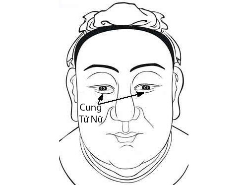 Cung Tu Nu trong 12 cung tuong mat hinh anh