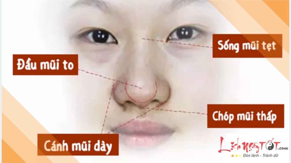 Đặc điểm mũi củ tỏi Dac diem mui cu toi