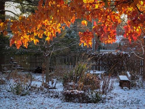 Dac diem tiet Tieu Tuyet Đặc điểm tiết Tiểu Tuyết