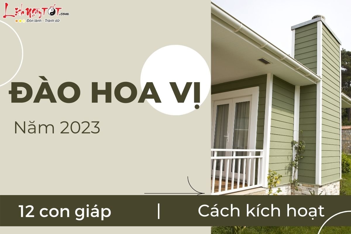 Dao hoa vi 2023