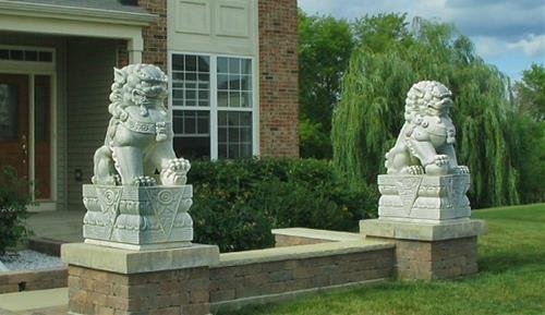 dat tuong su tu sao cho dung dat tuong su tu sao cho dung