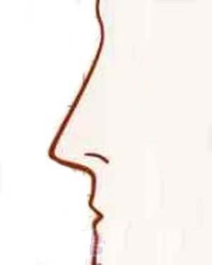 Đọc vị tình duyên, công danh nữ giới qua tướng mũi hình ảnh 2 Doc vi tinh duyen, cong danh nu gioi qua tuong mui hinh anh 2