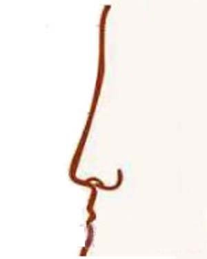 Đọc vị tình duyên, công danh nữ giới qua tướng mũi hình ảnh 3 Doc vi tinh duyen, cong danh nu gioi qua tuong mui hinh anh 3