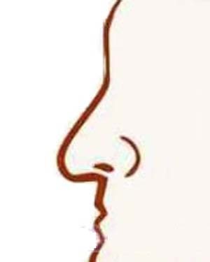 Đọc vị tình duyên, công danh nữ giới qua tướng mũi hình ảnh 6 Doc vi tinh duyen, cong danh nu gioi qua tuong mui hinh anh 6