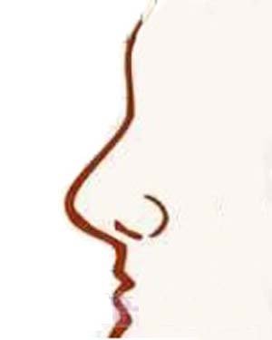 Đọc vị tình duyên, công danh nữ giới qua tướng mũi hình ảnh 7 Doc vi tinh duyen, cong danh nu gioi qua tuong mui hinh anh 7