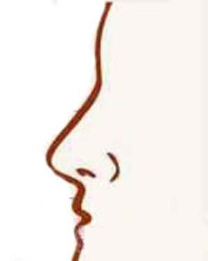 Đọc vị tình duyên, công danh nữ giới qua tướng mũi hình ảnh 8 Doc vi tinh duyen, cong danh nu gioi qua tuong mui hinh anh 8