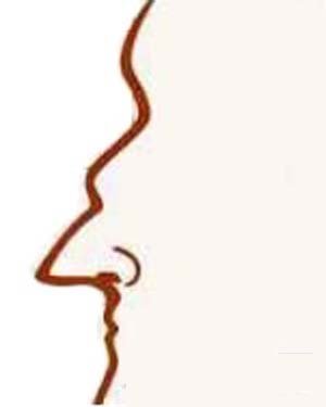 Đọc vị tình duyên, công danh nữ giới qua tướng mũi hình ảnh Doc vi tinh duyen, cong danh nu gioi qua tuong mui hinh anh