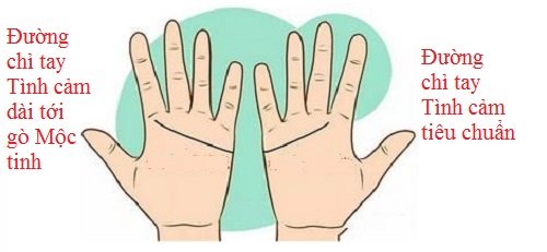 Đối chiếu đường chỉ tay Tình cảm để biết tình yêu của 2 bạn hình ảnh gốc 2 Doi chieu duong chi tay Tinh cam de biet tinh yeu cua 2 ban hinh anh goc 2