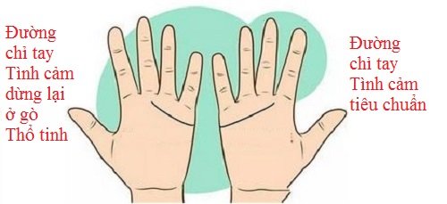 Đối chiếu đường chỉ tay Tình cảm để biết tình yêu của 2 bạn hình ảnh gốc 3 Doi chieu duong chi tay Tinh cam de biet tinh yeu cua 2 ban hinh anh goc 3