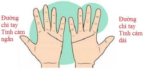 Đối chiếu đường chỉ tay Tình cảm để biết tình yêu của 2 bạn hình ảnh gốc 4 Doi chieu duong chi tay Tinh cam de biet tinh yeu cua 2 ban hinh anh goc 4