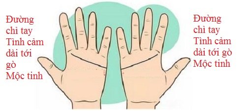 Đối chiếu đường chỉ tay Tình cảm để biết tình yêu của 2 bạn hình ảnh Doi chieu duong chi tay Tinh cam de biet tinh yeu cua 2 ban hinh anh