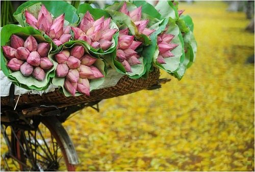 Doi dieu can biet ve tiet Ha Chi hinh anh 2