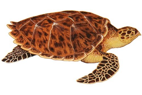 Doi moi - linh thu cat tuong thong tri bien ca hinh anh 2