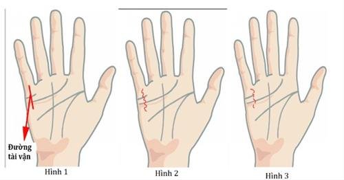 Đường chỉ tay phụ nữ giàu có là như thế nào? Duong chi tay phu nu giau co la nhu the nao?