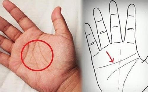 Đường chỉ tay phụ nữ giàu có Duong chi tay phu nu giau co