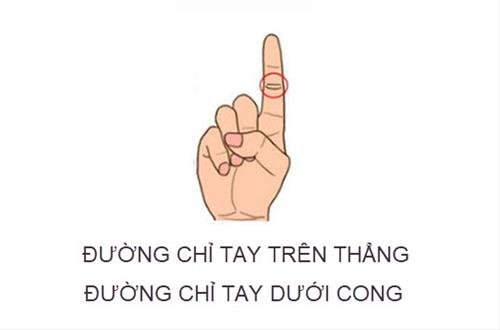 duong chi tay tren thang duong chi tay duoi cong duong chi tay tren thang duong chi tay duoi cong