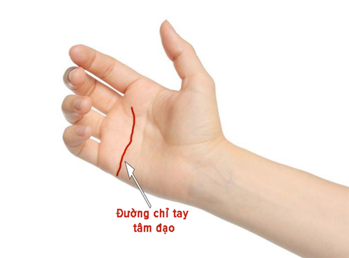 Xem tướng tay phụ nữ giỏi Xem tuong tay phu nu gioi