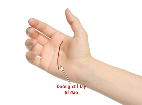 Xem tướng tay phụ nữ giỏi Xem tuong tay phu nu gioi