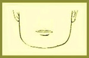 Giai ma bi mat cuoc doi nam gioi qua chiec cam hinh anh 10