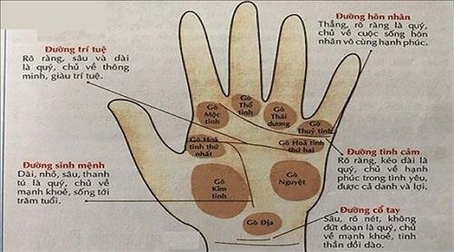 go-hoa-tinh-thu-nhat