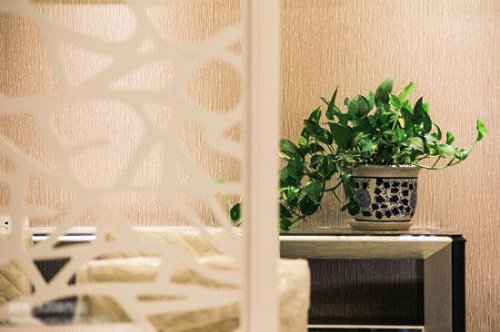 Goi y bay dung loai cay de tang cuong phong thuy huyen quan hinh anh 2