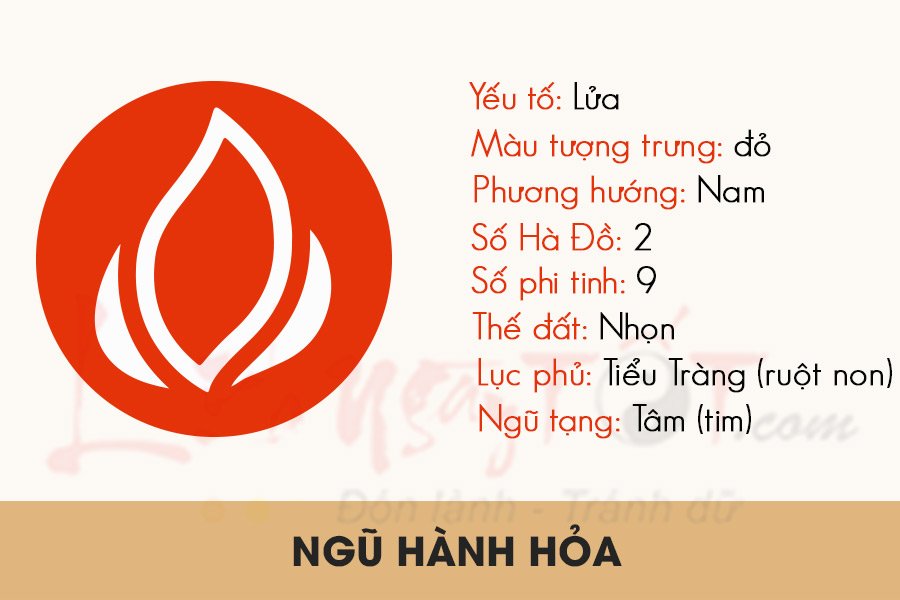ngu hanh hoa ngu hanh hoa