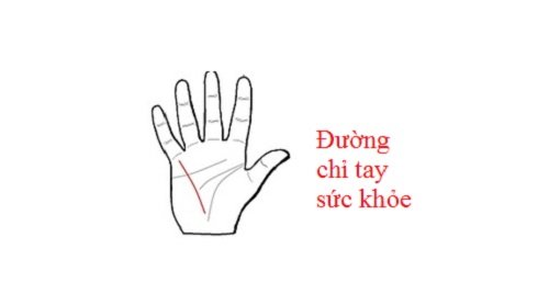 He lo 4 duong chi tay dac biet khong phai ai cung co hinh anh goc 2