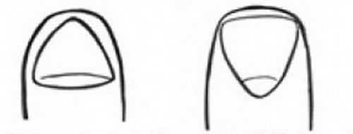 Hình dáng móng tay bật mí nét tính cách thú vị của nữ giới hình ảnh 2 Hinh dang mong tay bat mi net tinh cach thu vi cua nu gioi hinh anh 2