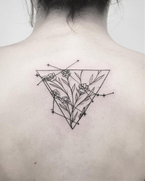 Hinh ham hoa Song Tu