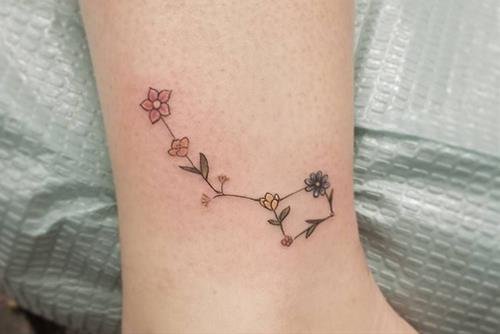 Hinh xam chom sao Song Tu va hoa