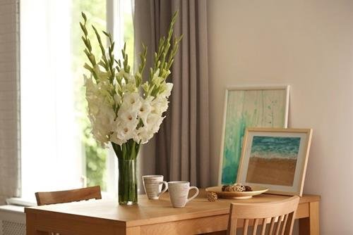 Hoa lay ơn Hoa lay on