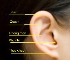 image_25320_1236644612_img