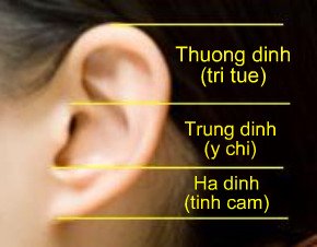 image_25323_1236644612_img1