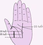 image_28059_dsc02989a