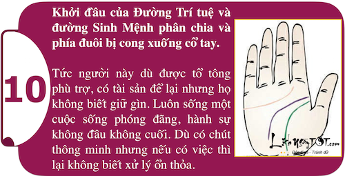 Kham pha suc manh ca tinh ngay trong long ban tay P1 hinh anh goc 10