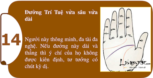 Kham pha suc manh ca tinh ngay trong long ban tay P1 hinh anh goc 14