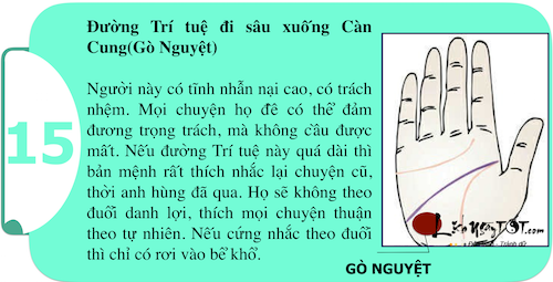 Kham pha suc manh ca tinh ngay trong long ban tay P1 hinh anh goc 15